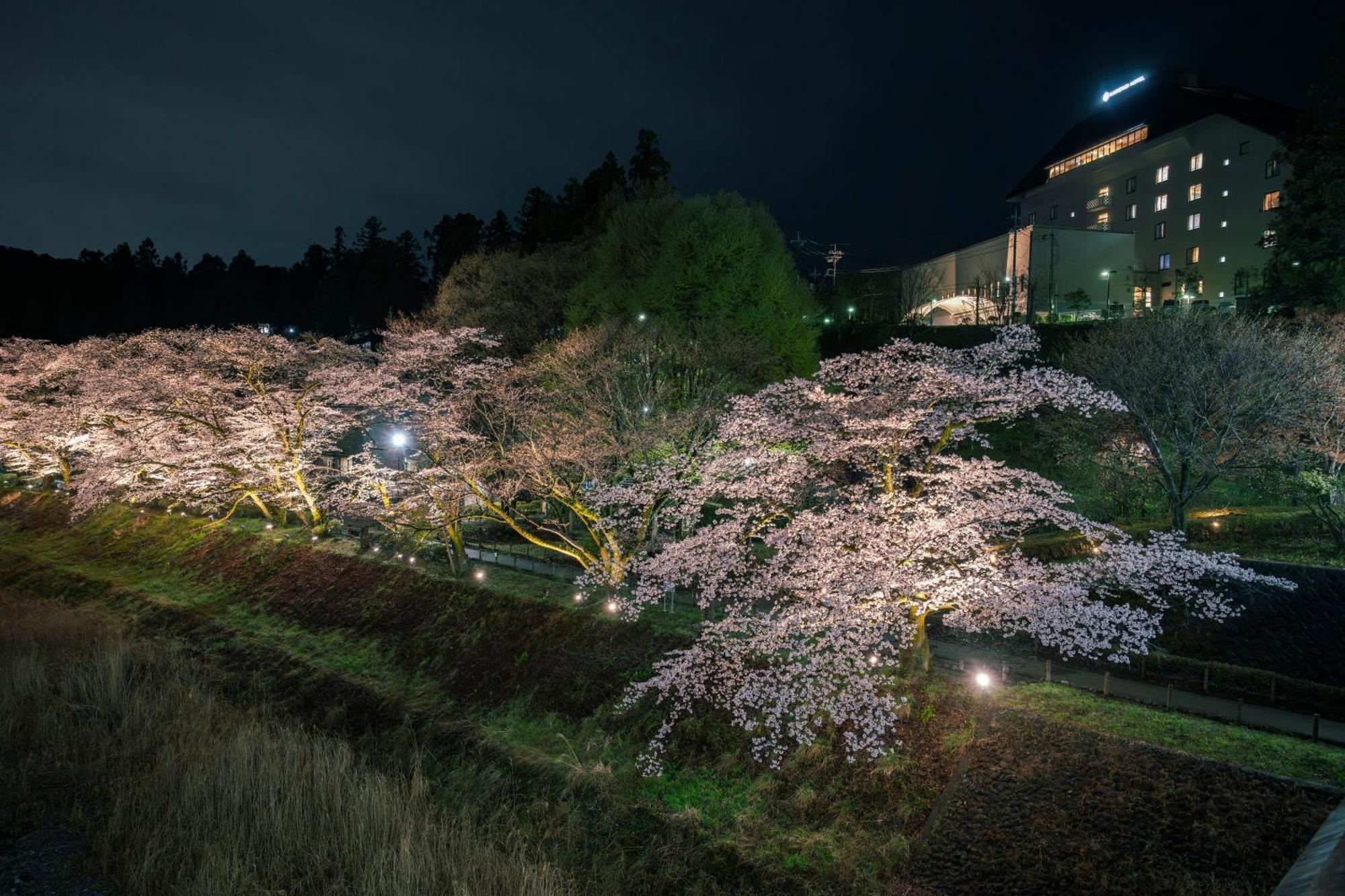 亀の井ホテル 青梅 旅館